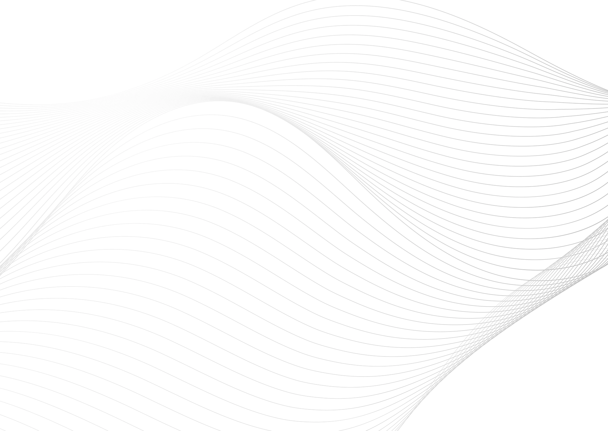 Web Site Tasarımcısı, Dikili